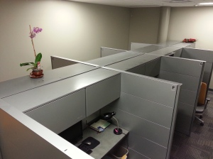 Eight cubicles all to myself because the "fellows" (interns) have left for the holiday.