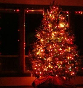 Yesterday, the final lighting of the Christmas tree and outside lights that bedecked our home this season.