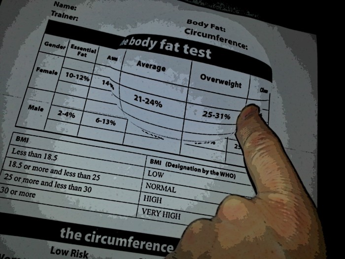 My health club's "Body Fat Percentage Chart," slightly out of proportion...