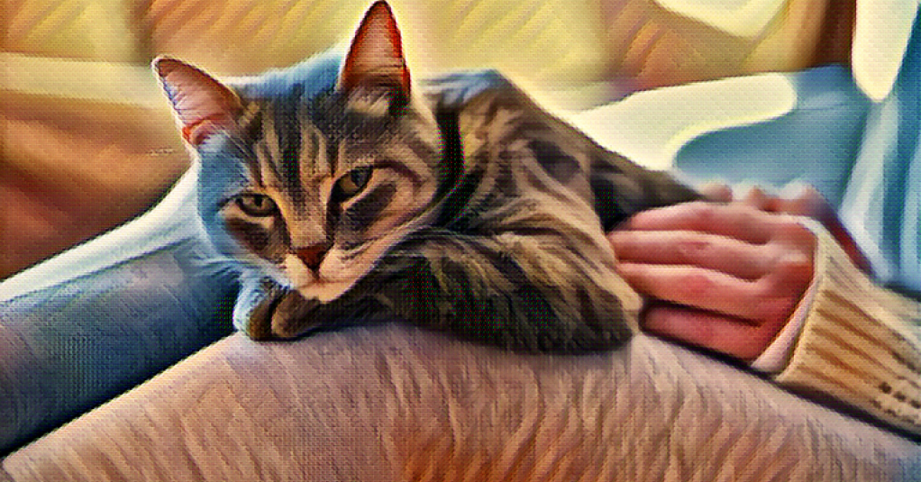Photo illustration: an innocent looking cat in a woman's lap