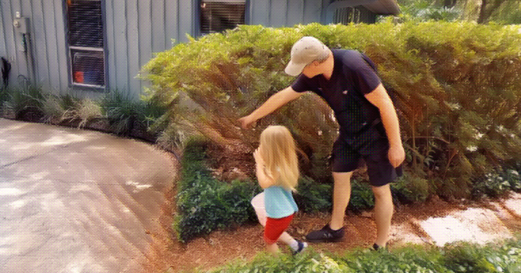 Grandpa, dressed in black shorts and T-shirt with suspenders, points out an Easter egg to little Adira, her flowing blond hair touching her light blue shirt. She's carrying a pink bucket to collect her eggs.